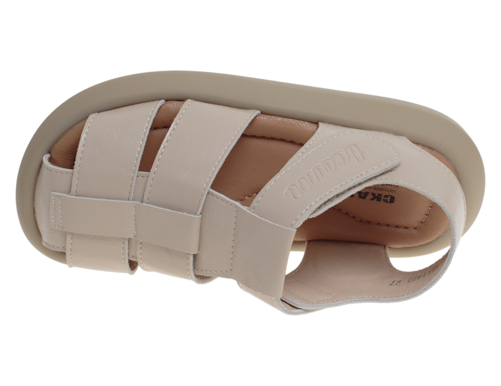 �������� ��� ��������� R221511423AP (����, ��� 2)