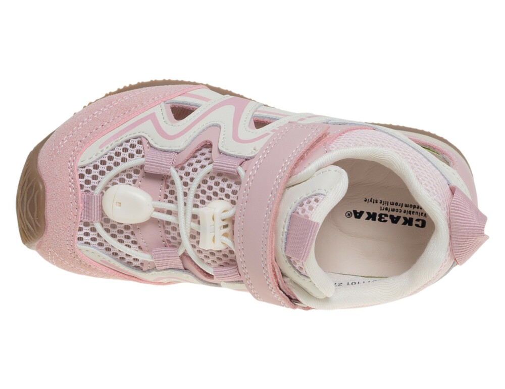 ����������� ��� ������� R223011101P (����, ��� 2)