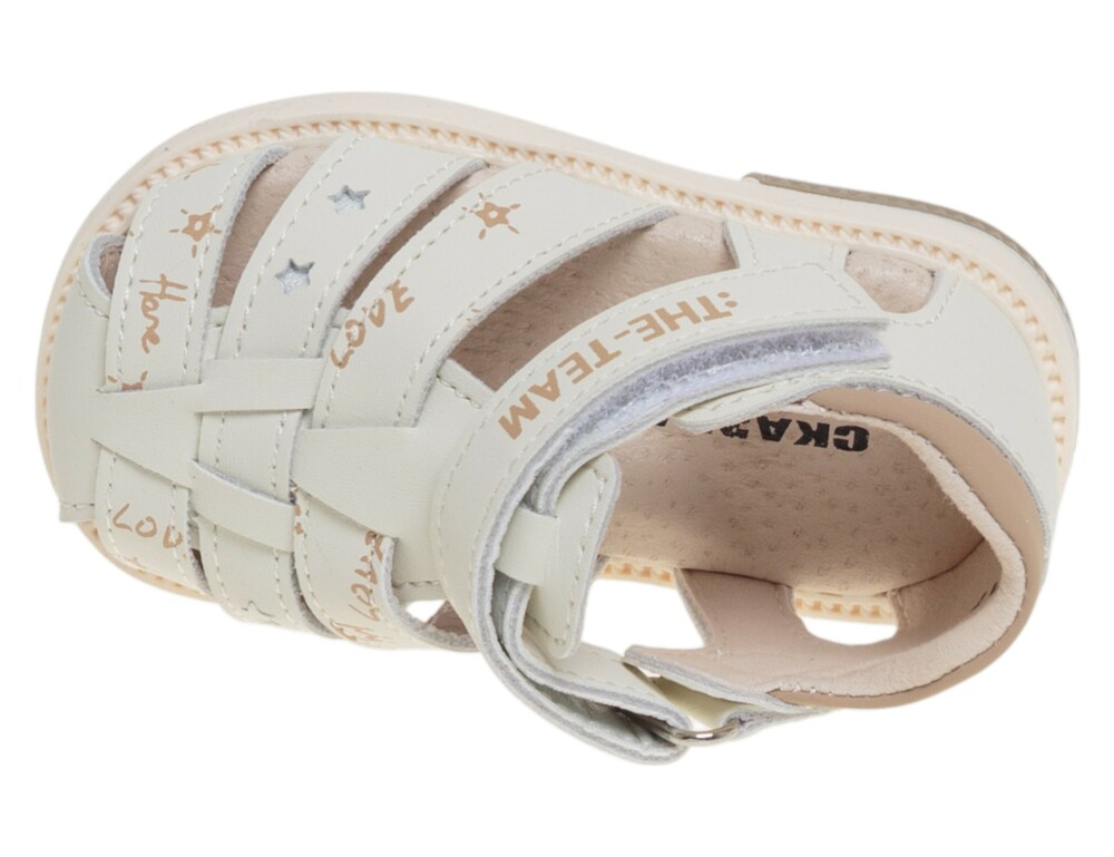 �������� ��� ������� R822210039B (����, ��� 2)