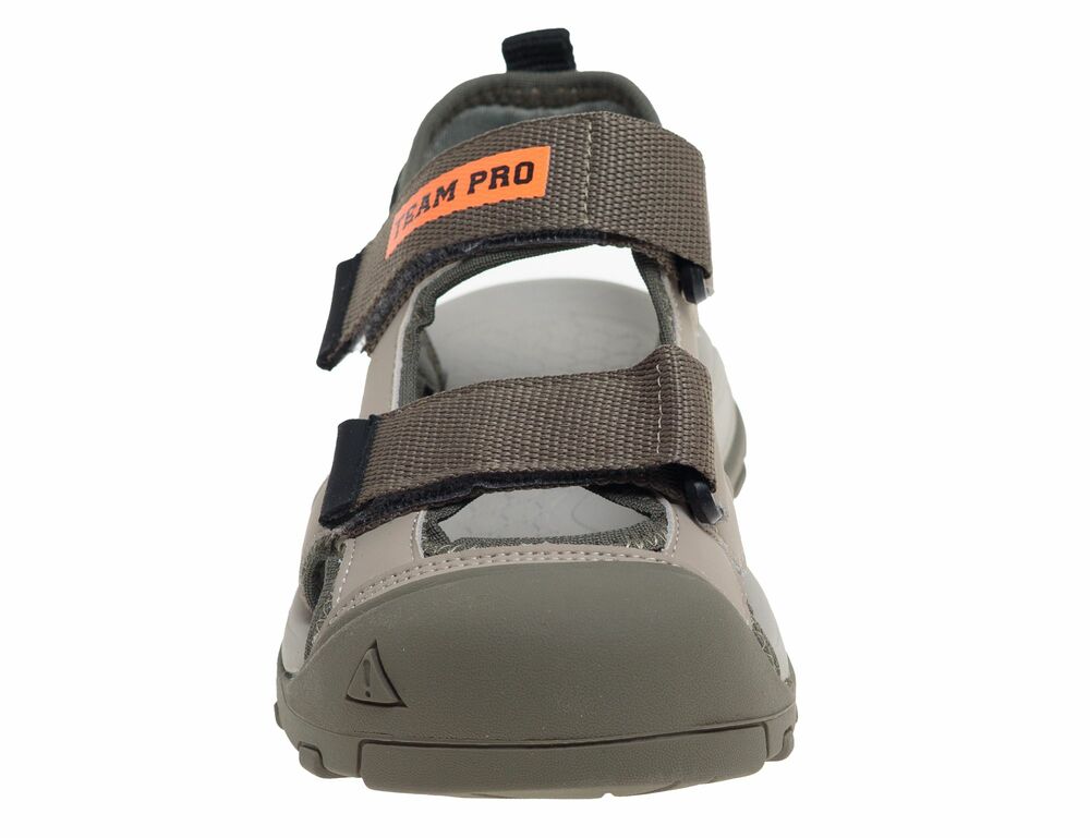 �������� ��� ��������� R252511531AG (����, ��� 1)