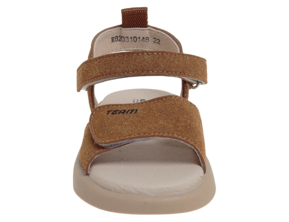 �������� ��� ������� R820310148BR (����, ��� 1)