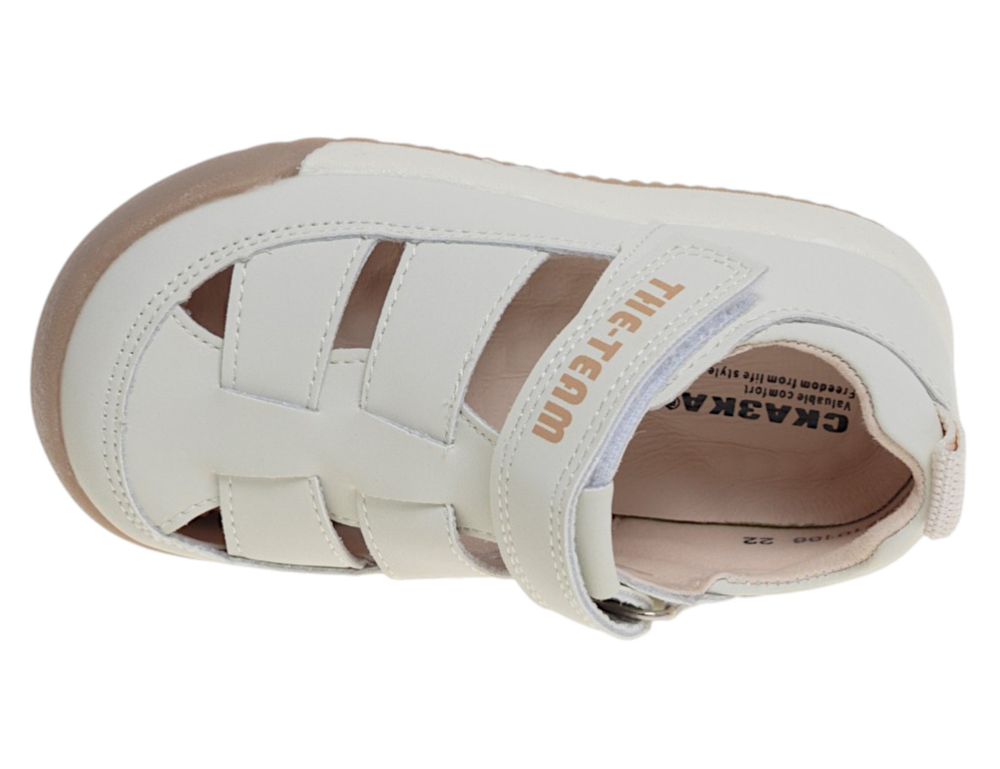 �������� ��� ��������� R958710186B (����, ��� 2)