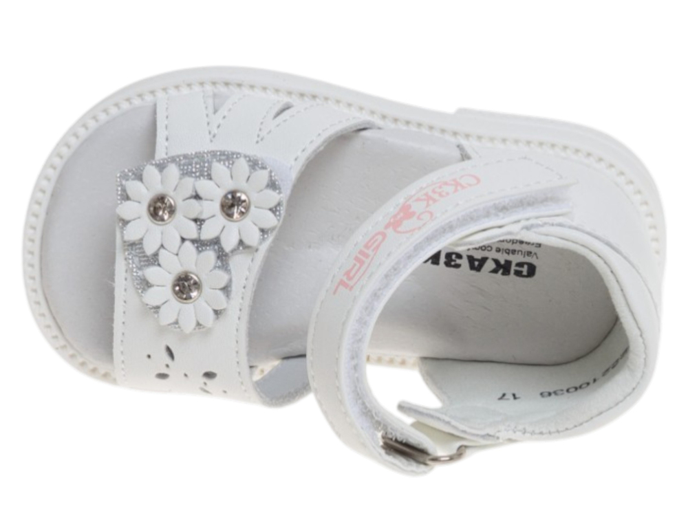 �������� ��� ������� R822210036W (����, ��� 2)