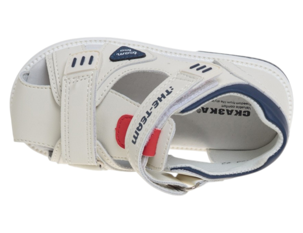 �������� ��� ��������� R822210153B (����, ��� 2)