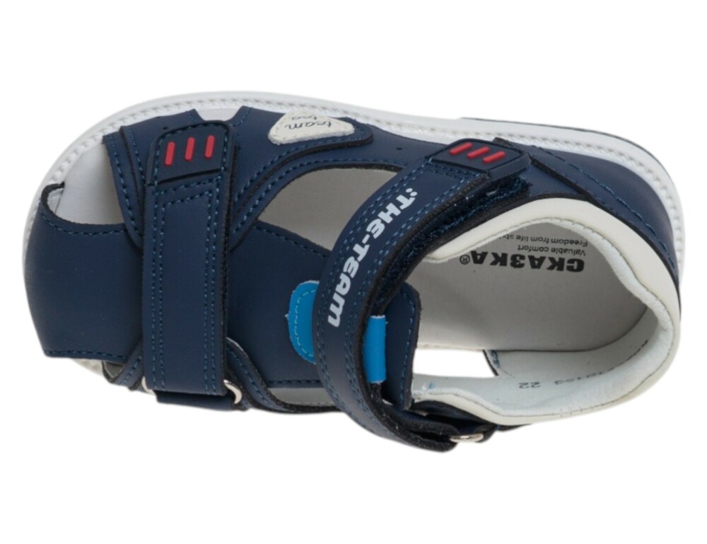 �������� ��� ��������� R822210153DB (����, ��� 2)