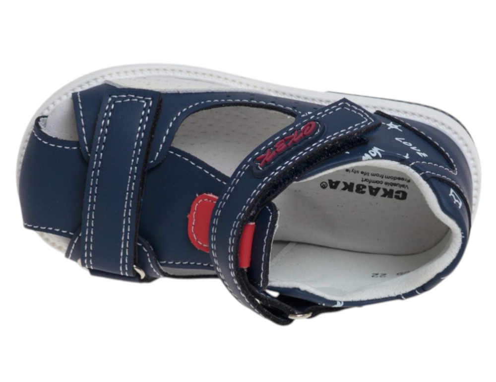 �������� ��� ��������� R822210155DB (����, ��� 2)