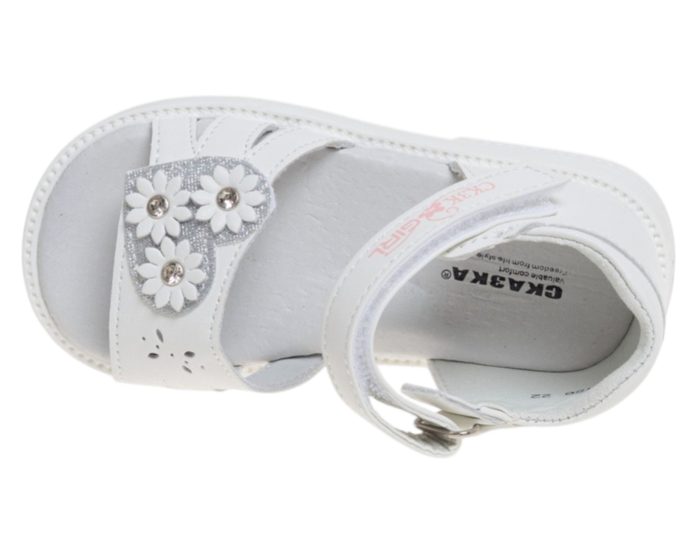 �������� ��� ������� R822210156W (����, ��� 2)