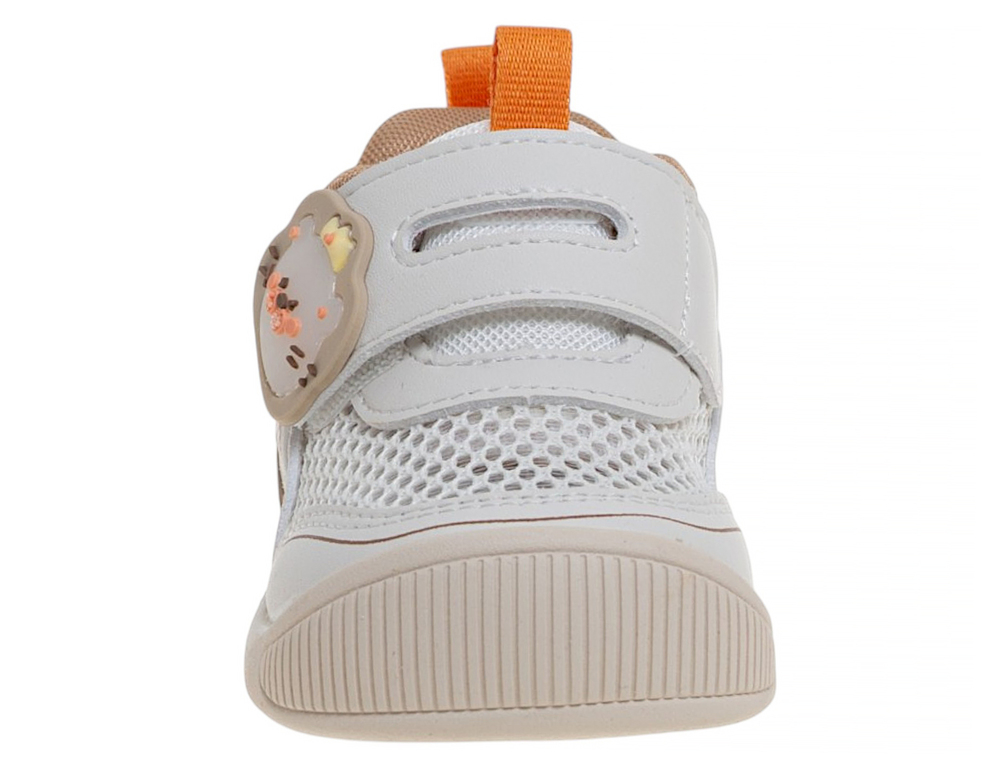 ����������� ��� ��������� R880312384W-2 (����, ��� 1)