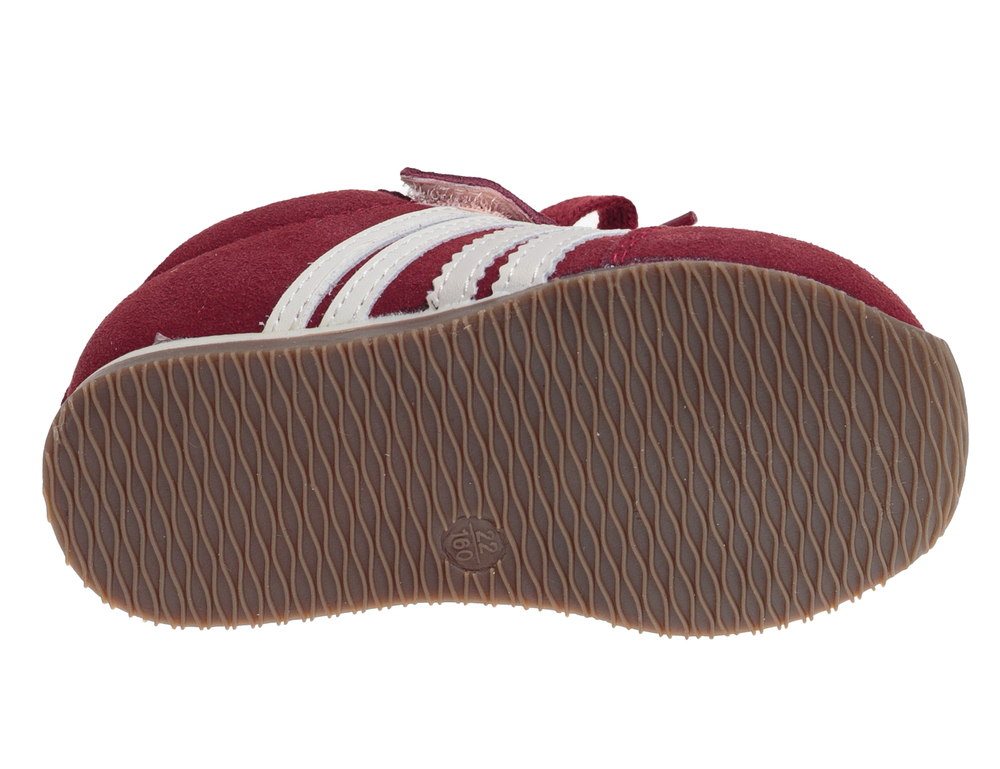 ����������� ��� ��������� R223012523R (����, ��� 4)