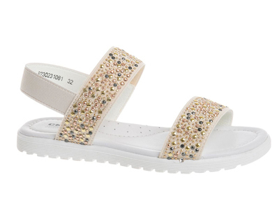 R230231081B ()