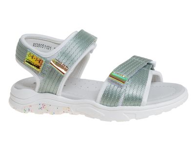 R539051131GN ()