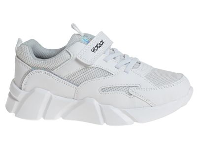 R202164091W ()