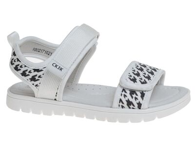 R902171621W ()