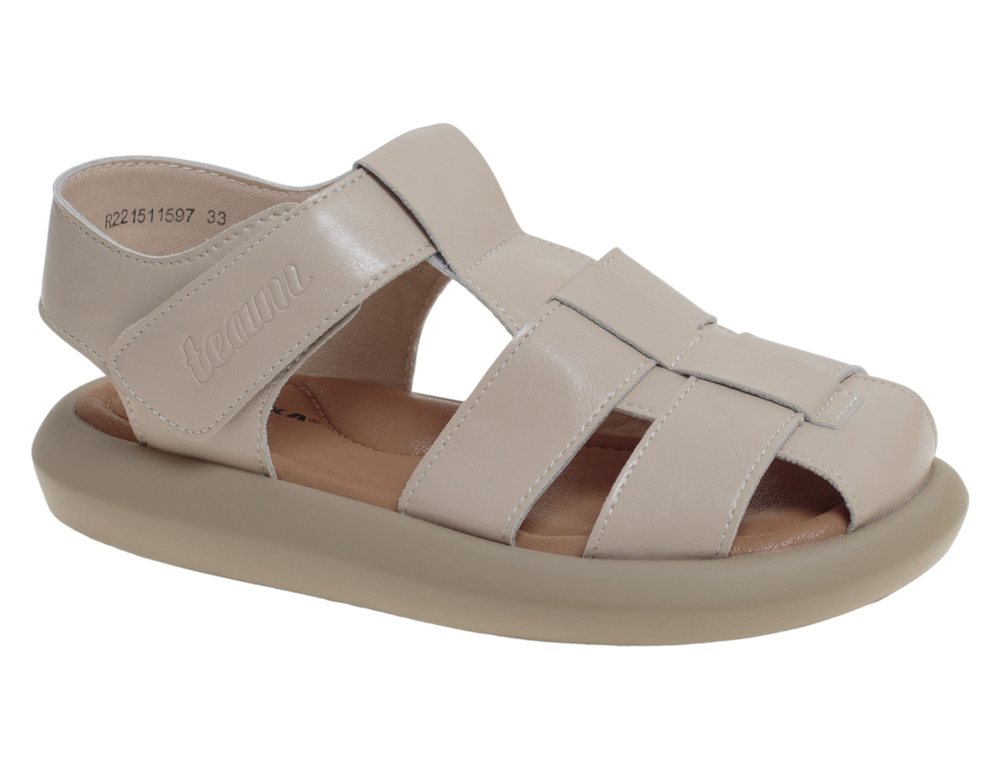 �������� ��� ��������� R221511597AP (����)