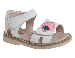 R860790322W