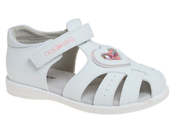 R529091055W