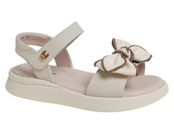R560691516W