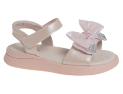 R560691517P