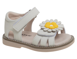 �������� ��� ������� R860710041B